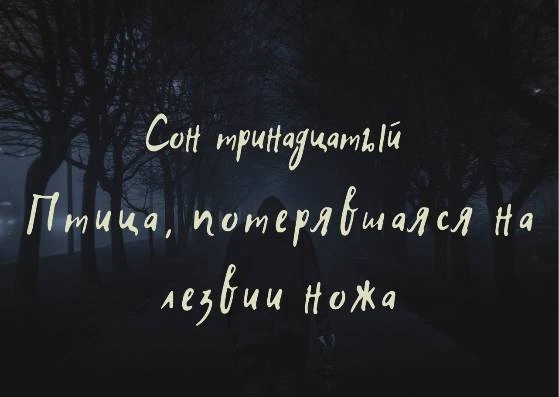 Иллюстрация к книге — Волк в ее голове [book-illustration-39.webp]