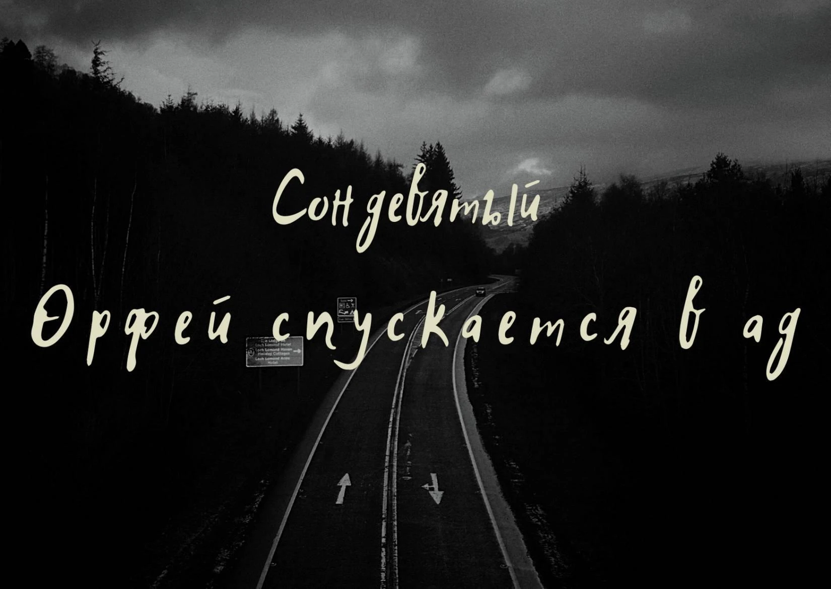 Иллюстрация к книге — Волк в ее голове [book-illustration-9.webp]
