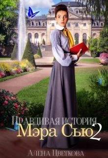 Книга Правдивая история Мэра Сью - 2