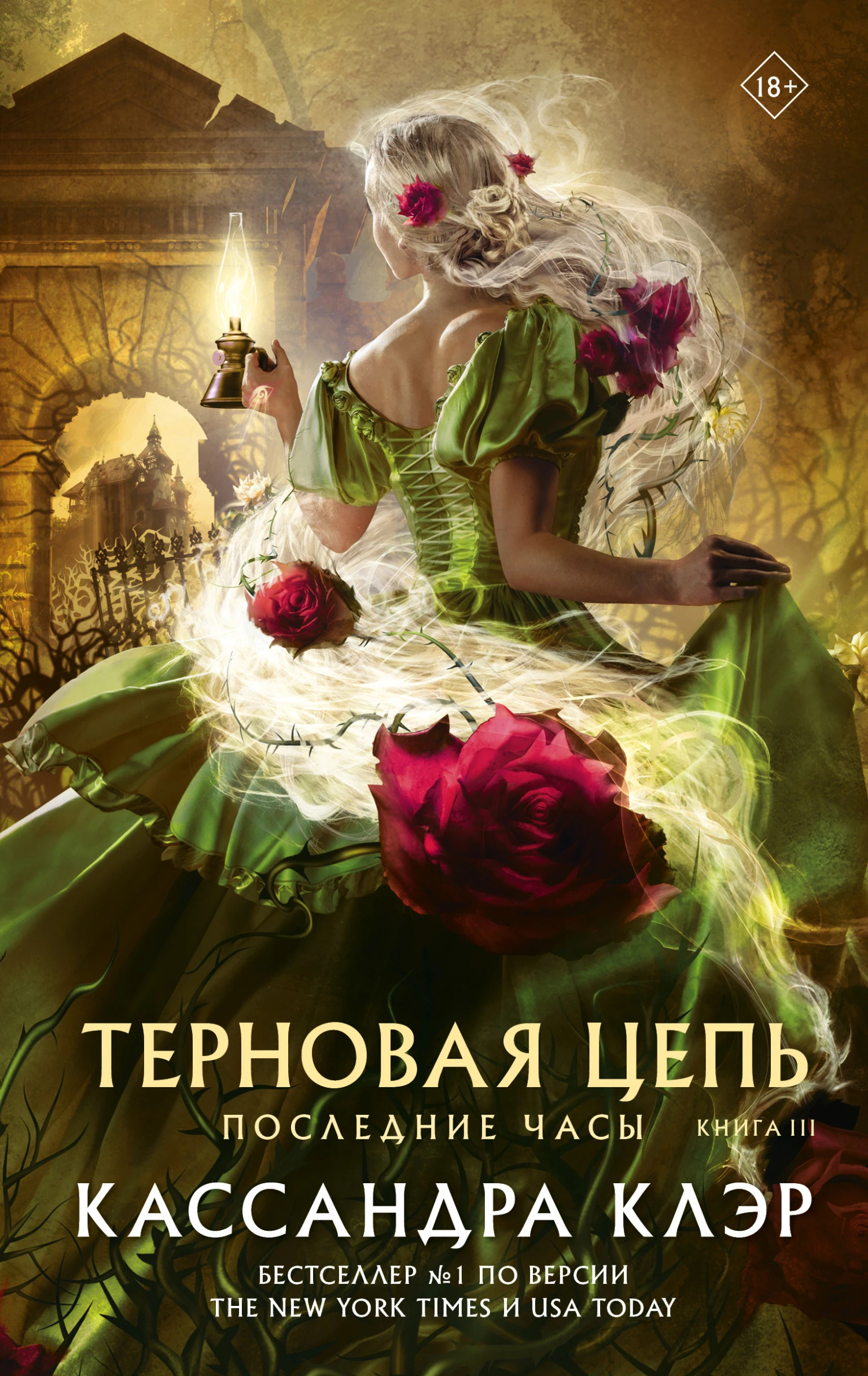 Книга Терновая цепь