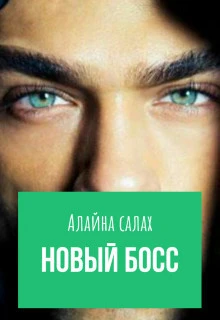 Книга Новый босс