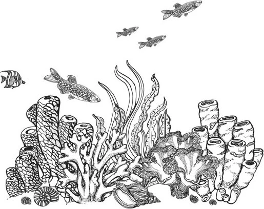 Иллюстрация к книге — Стон океана [book-illustration-23.webp]