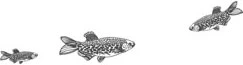 Иллюстрация к книге — Стон океана [book-illustration-25.webp]