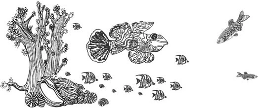 Иллюстрация к книге — Стон океана [book-illustration-36.webp]
