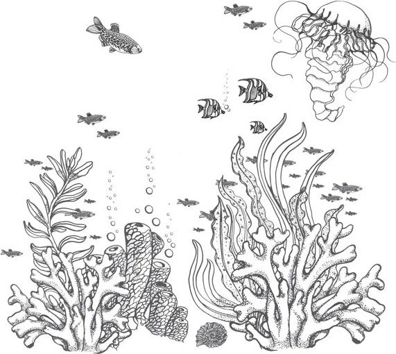 Иллюстрация к книге — Стон океана [book-illustration-37.webp]
