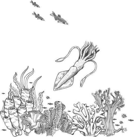 Иллюстрация к книге — Стон океана [book-illustration-50.webp]