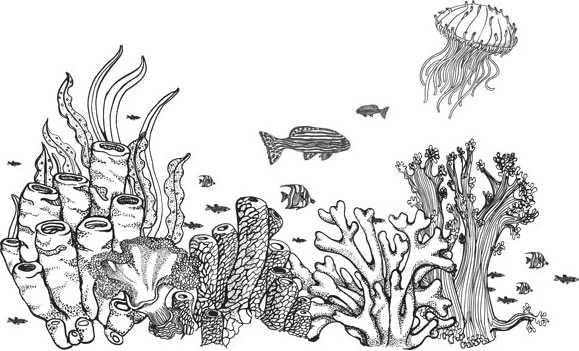 Иллюстрация к книге — Стон океана [book-illustration-53.webp]