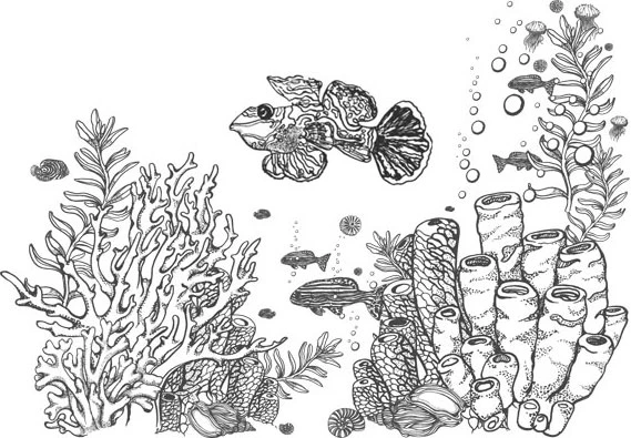 Иллюстрация к книге — Стон океана [book-illustration-58.webp]