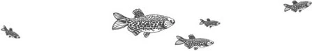 Иллюстрация к книге — Стон океана [book-illustration-62.webp]