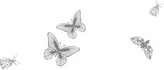 Иллюстрация к книге — Любовь всей моей смерти. Том 2 [book-illustration-12.webp]