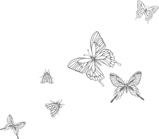 Иллюстрация к книге — Любовь всей моей смерти. Том 2 [book-illustration-18.webp]