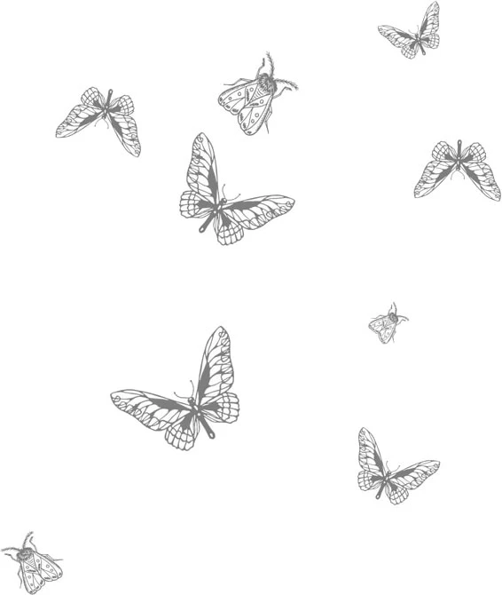 Иллюстрация к книге — Любовь всей моей смерти. Том 2 [book-illustration-26.webp]