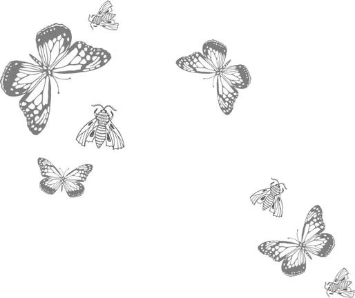 Иллюстрация к книге — Любовь всей моей смерти. Том 2 [book-illustration-30.webp]