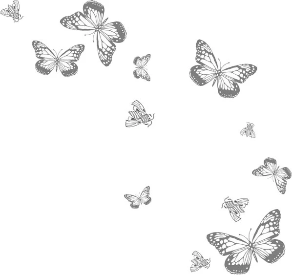 Иллюстрация к книге — Любовь всей моей смерти. Том 2 [book-illustration-31.webp]