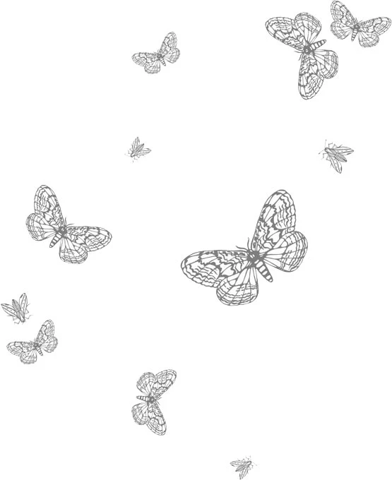 Иллюстрация к книге — Любовь всей моей смерти. Том 2 [book-illustration-4.webp]