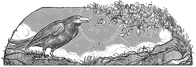 Иллюстрация к книге — Тени у костра [book-illustration-3.webp]