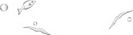 Иллюстрация к книге — Стань светом в темном море. Том 4 [book-illustration-4.webp]