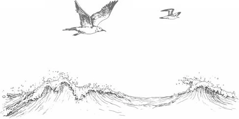 Иллюстрация к книге — Стань светом в темном море. Том 4 [book-illustration-51.webp]