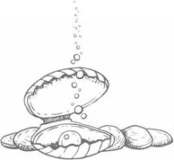 Иллюстрация к книге — Стань светом в темном море. Том 4 [book-illustration-9.webp]