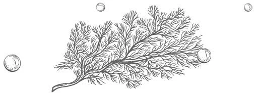 Иллюстрация к книге — Стань светом в темном море. Том 3 [book-illustration-18.webp]