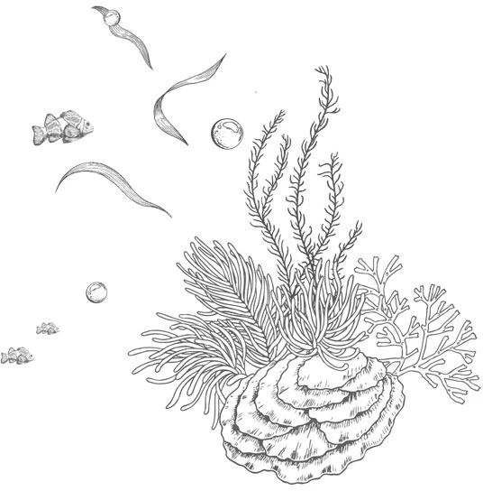 Иллюстрация к книге — Стань светом в темном море. Том 3 [book-illustration-34.webp]