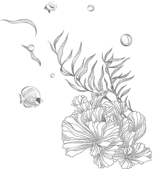 Иллюстрация к книге — Стань светом в темном море. Том 3 [book-illustration-46.webp]