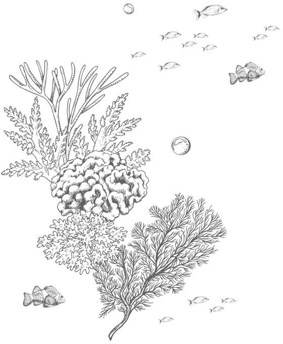 Иллюстрация к книге — Стань светом в темном море. Том 3 [book-illustration-55.webp]