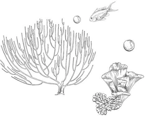 Иллюстрация к книге — Стань светом в темном море. Том 3 [book-illustration-77.webp]