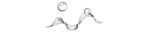 Иллюстрация к книге — Стань светом в темном море. Том 2 [book-illustration-55.webp]