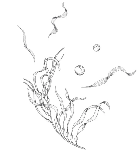 Иллюстрация к книге — Стань светом в темном море. Том 2 [book-illustration-59.webp]