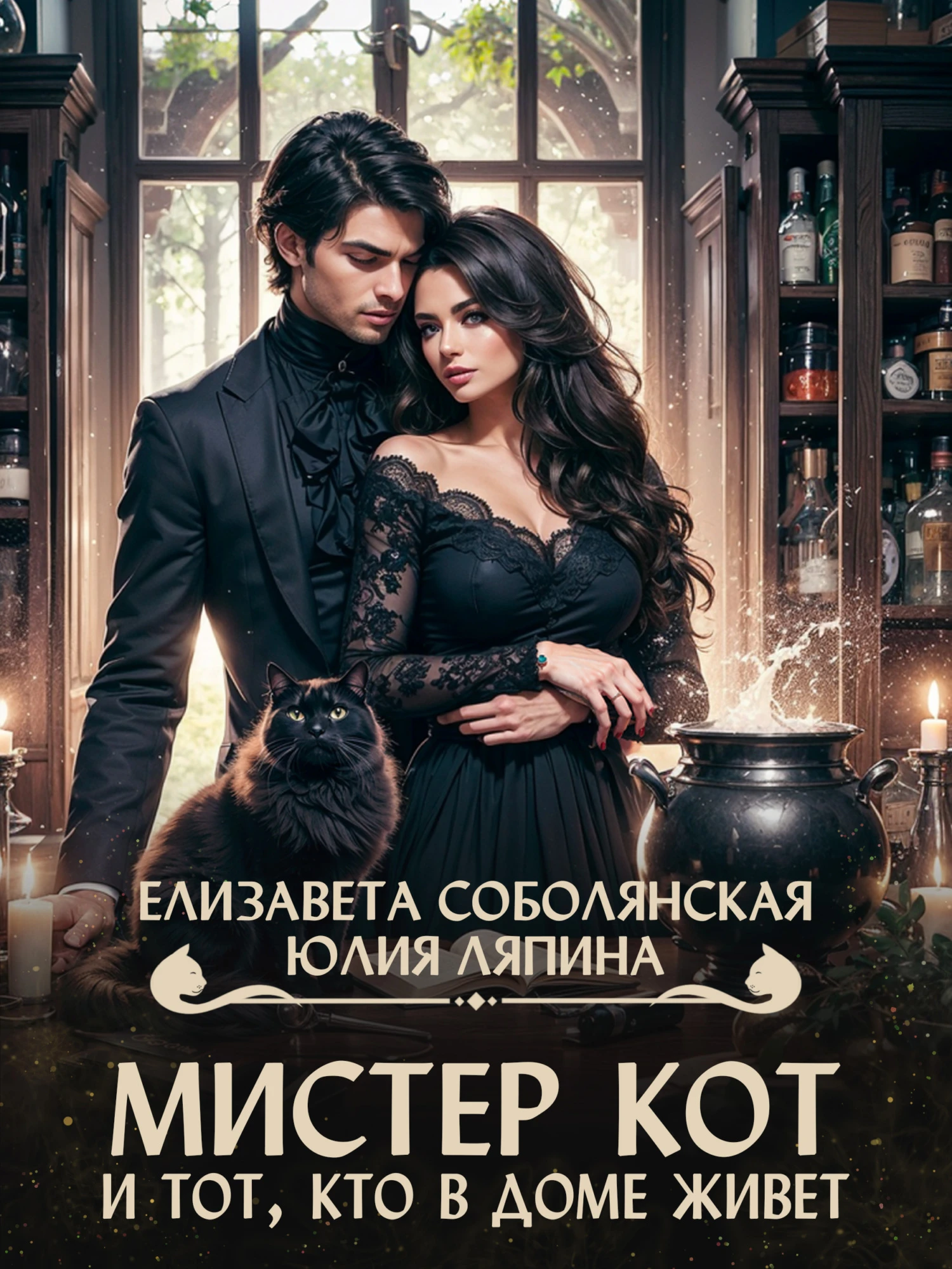 Книга Мистер Кот и тот, кто в доме живет