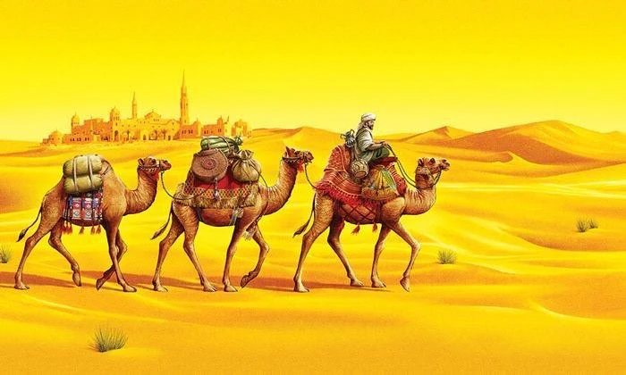 Иллюстрация к книге — Шаманка. Песнь воды [book-illustration-9.webp]