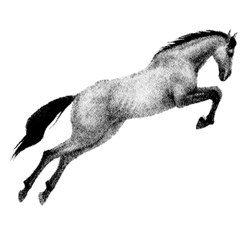 Иллюстрация к книге — Юркины бумеранги [book-illustration-4.webp]