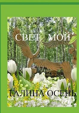 Книга Свет мой