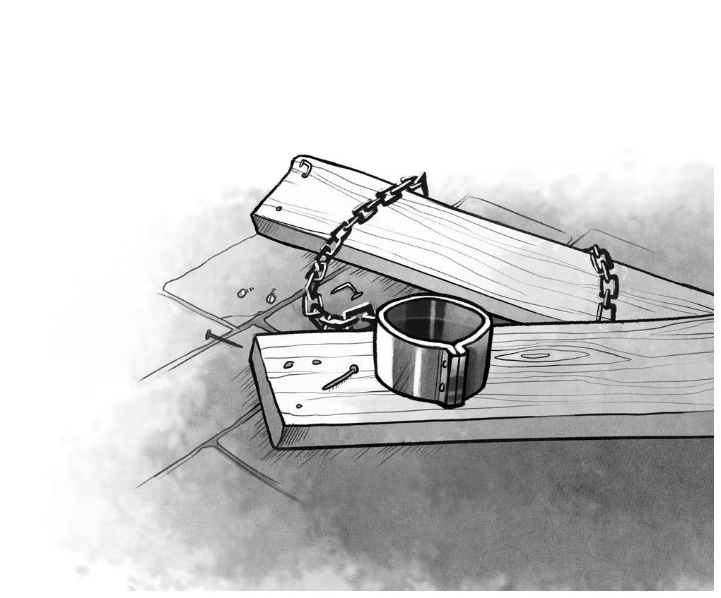 Иллюстрация к книге — Талант под прикрытием [book-illustration-43.webp]