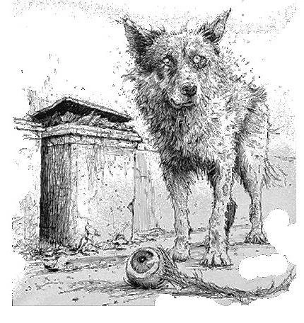 Иллюстрация к книге — Психотомия [book-illustration-2.webp]