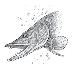 Иллюстрация к книге — На дне озерном [book-illustration-6.webp]