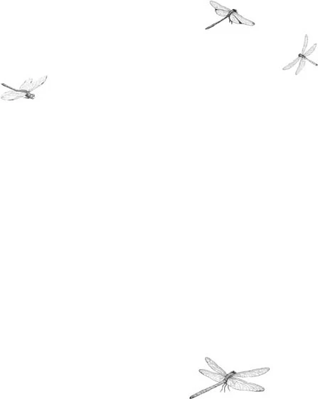 Иллюстрация к книге — Комната с видом на лето [book-illustration-12.webp]