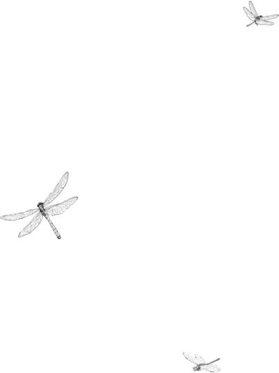 Иллюстрация к книге — Комната с видом на лето [book-illustration-13.webp]