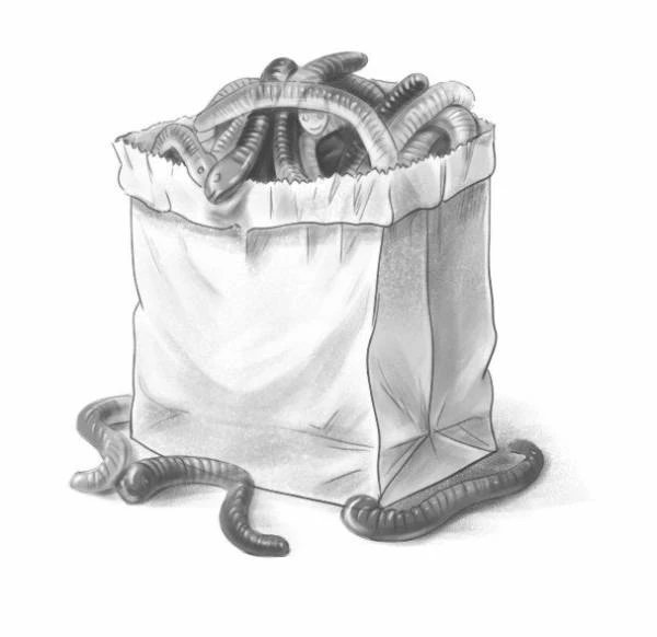 Иллюстрация к книге — Тайна старого каштана [book-illustration-33.webp]