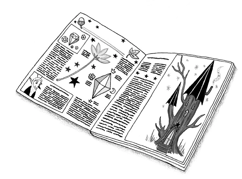 Иллюстрация к книге — Близнецы из кристалла [book-illustration-65.webp]
