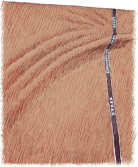 Иллюстрация к книге — 100 вещей, изменивших моду [book-illustration-5.webp]