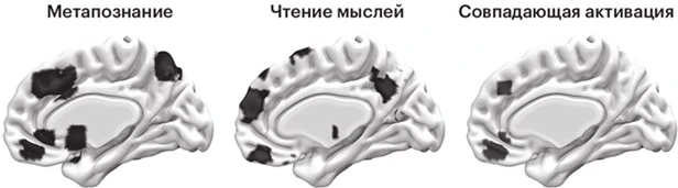Иллюстрация к книге — Метамышление. Как нейронауки помогают нам понять себя [book-illustration-9.webp]