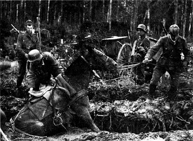 Трагедия на Неве. Шокирующая правда о блокаде Ленинграда. 1941-1944