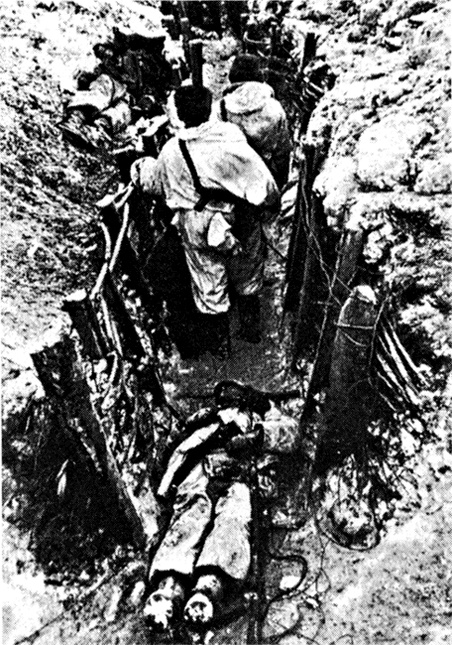 Трагедия на Неве. Шокирующая правда о блокаде Ленинграда. 1941-1944
