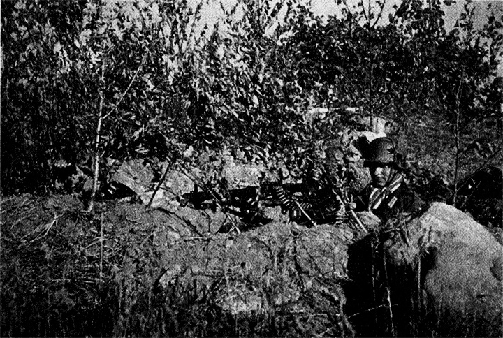 Трагедия на Неве. Шокирующая правда о блокаде Ленинграда. 1941-1944